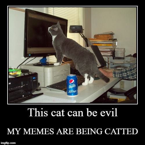 This cat can be evil | MY MEMES ARE BEING CATTED | image tagged in funny,demotivationals | made w/ Imgflip demotivational maker