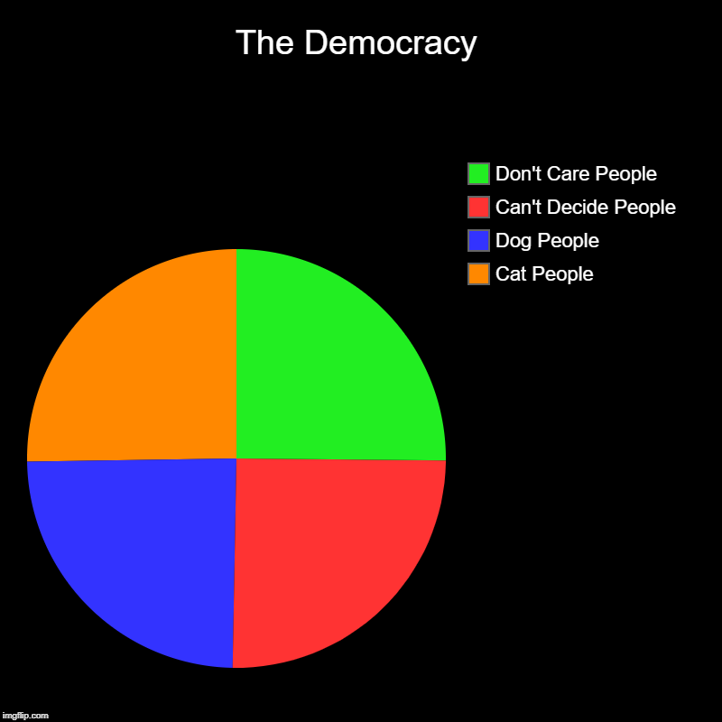 The Democracy | Cat People, Dog People, Can't Decide People, Don't Care People | image tagged in charts,pie charts | made w/ Imgflip chart maker
