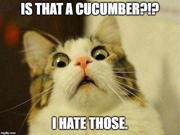 Scared Cat | IS THAT A CUCUMBER?!? I HATE THOSE. | image tagged in memes,scared cat | made w/ Imgflip meme maker