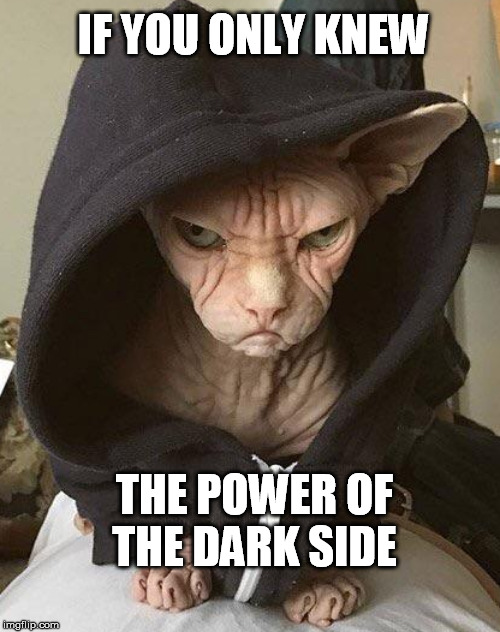 IF YOU ONLY KNEW THE POWER OF THE DARK SIDE | made w/ Imgflip meme maker