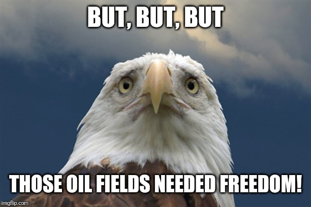 sad eagle | BUT, BUT, BUT THOSE OIL FIELDS NEEDED FREEDOM! | image tagged in sad eagle | made w/ Imgflip meme maker