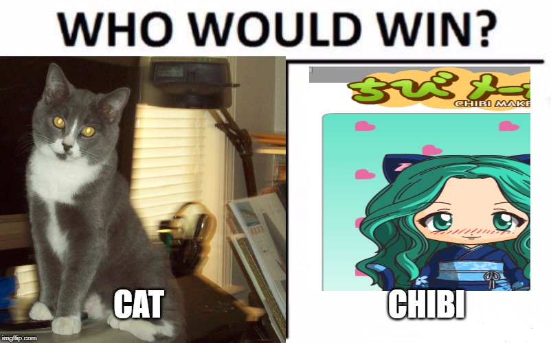 CAT; CHIBI | made w/ Imgflip meme maker