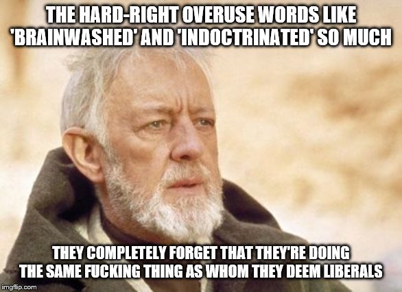 Obi Wan Kenobi Meme | THE HARD-RIGHT OVERUSE WORDS LIKE 'BRAINWASHED' AND 'INDOCTRINATED' SO MUCH THEY COMPLETELY FORGET THAT THEY'RE DOING THE SAME F**KING THING | image tagged in memes,obi wan kenobi | made w/ Imgflip meme maker