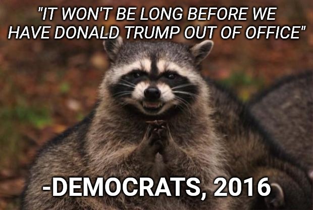 evil genius racoon | "IT WON'T BE LONG BEFORE WE HAVE DONALD TRUMP OUT OF OFFICE"; -DEMOCRATS, 2016 | image tagged in evil genius racoon | made w/ Imgflip meme maker