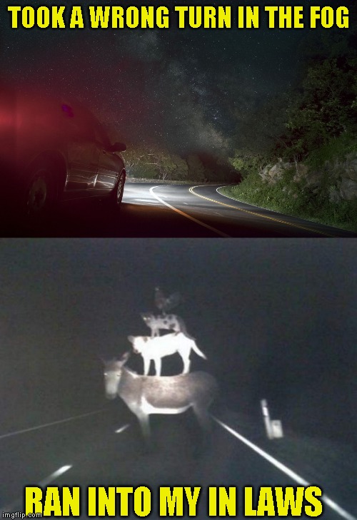 Guess it was a short cut after all | TOOK A WRONG TURN IN THE FOG; RAN INTO MY IN LAWS | image tagged in happy halloween | made w/ Imgflip meme maker