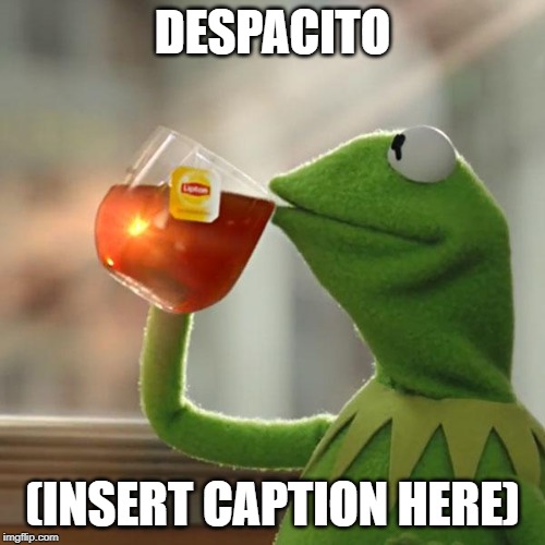 But That's None Of My Business | DESPACITO; (INSERT CAPTION HERE) | image tagged in memes,but thats none of my business,kermit the frog | made w/ Imgflip meme maker