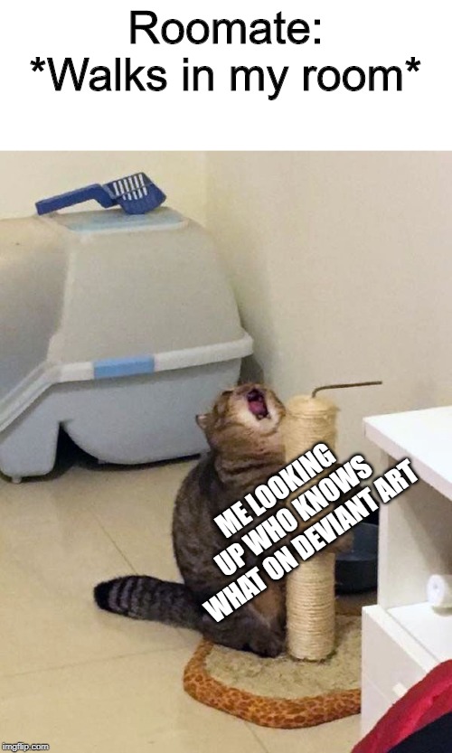 Roomate: *Walks in my room*; ME LOOKING UP WHO KNOWS WHAT ON DEVIANT ART | image tagged in cat,screaming,funny,memes | made w/ Imgflip meme maker
