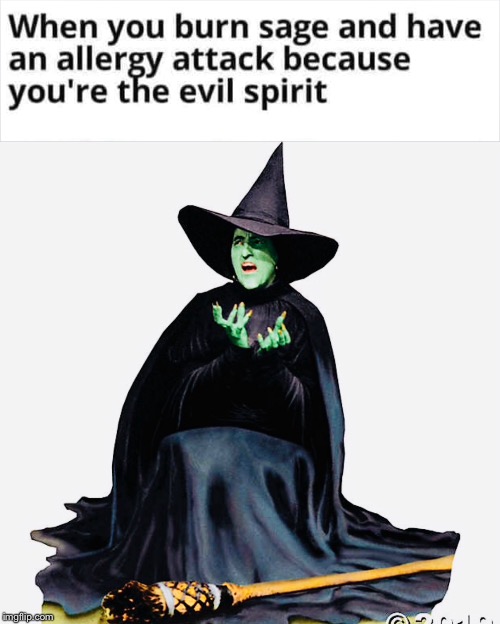 When you burn sage | image tagged in witch,evil,spirit,burn | made w/ Imgflip meme maker