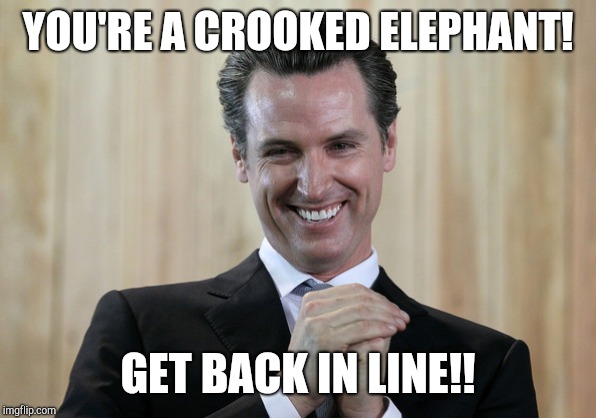 Scheming Gavin Newsom  | YOU'RE A CROOKED ELEPHANT! GET BACK IN LINE!! | image tagged in scheming gavin newsom | made w/ Imgflip meme maker