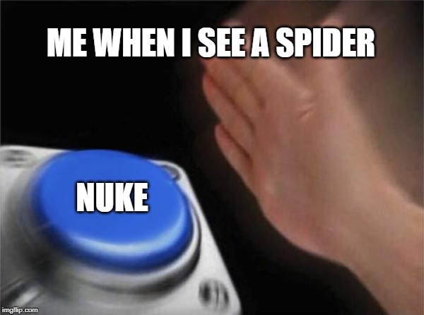 Blank Nut Button Meme | ME WHEN I SEE A SPIDER; NUKE | image tagged in memes,blank nut button | made w/ Imgflip meme maker