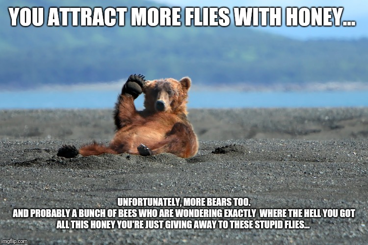 Attraction isn't always good... | YOU ATTRACT MORE FLIES WITH HONEY... UNFORTUNATELY, MORE BEARS TOO.
AND PROBABLY A BUNCH OF BEES WHO ARE WONDERING EXACTLY  WHERE THE HELL YOU GOT ALL THIS HONEY YOU'RE JUST GIVING AWAY TO THESE STUPID FLIES... | image tagged in bear,bees,honey | made w/ Imgflip meme maker