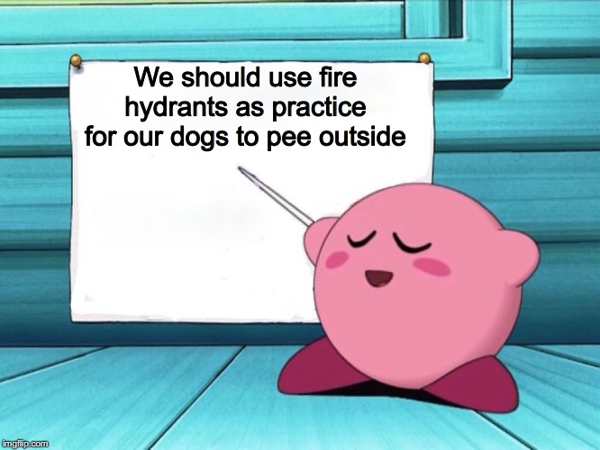 kirby sign | We should use fire hydrants as practice for our dogs to pee outside | image tagged in kirby sign | made w/ Imgflip meme maker