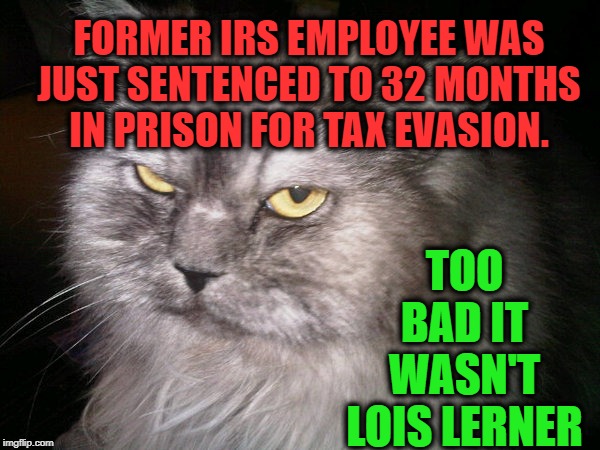 IRS Tax Cheat | FORMER IRS EMPLOYEE WAS JUST SENTENCED TO 32 MONTHS IN PRISON FOR TAX EVASION. TOO BAD IT WASN'T LOIS LERNER | image tagged in irritated cat,politics,political meme,political,stranger things,strange | made w/ Imgflip meme maker