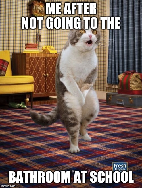 Gotta Go Cat |  ME AFTER NOT GOING TO THE; BATHROOM AT SCHOOL | image tagged in memes,gotta go cat,cats,funny,school,school meme | made w/ Imgflip meme maker