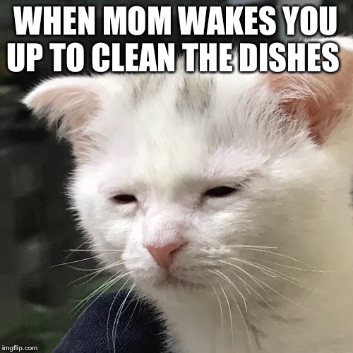 I'm awake, but at what cost? | WHEN MOM WAKES YOU UP TO CLEAN THE DISHES | image tagged in i'm awake but at what cost | made w/ Imgflip meme maker