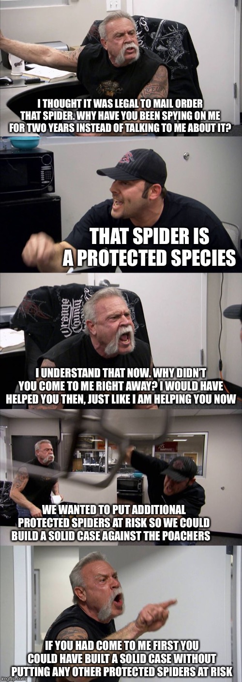 American Chopper Argument | I THOUGHT IT WAS LEGAL TO MAIL ORDER THAT SPIDER. WHY HAVE YOU BEEN SPYING ON ME FOR TWO YEARS INSTEAD OF TALKING TO ME ABOUT IT? THAT SPIDER IS A PROTECTED SPECIES; I UNDERSTAND THAT NOW. WHY DIDN’T YOU COME TO ME RIGHT AWAY? I WOULD HAVE HELPED YOU THEN, JUST LIKE I AM HELPING YOU NOW; WE WANTED TO PUT ADDITIONAL PROTECTED SPIDERS AT RISK SO WE COULD BUILD A SOLID CASE AGAINST THE POACHERS; IF YOU HAD COME TO ME FIRST YOU COULD HAVE BUILT A SOLID CASE WITHOUT PUTTING ANY OTHER PROTECTED SPIDERS AT RISK | image tagged in memes,american chopper argument | made w/ Imgflip meme maker