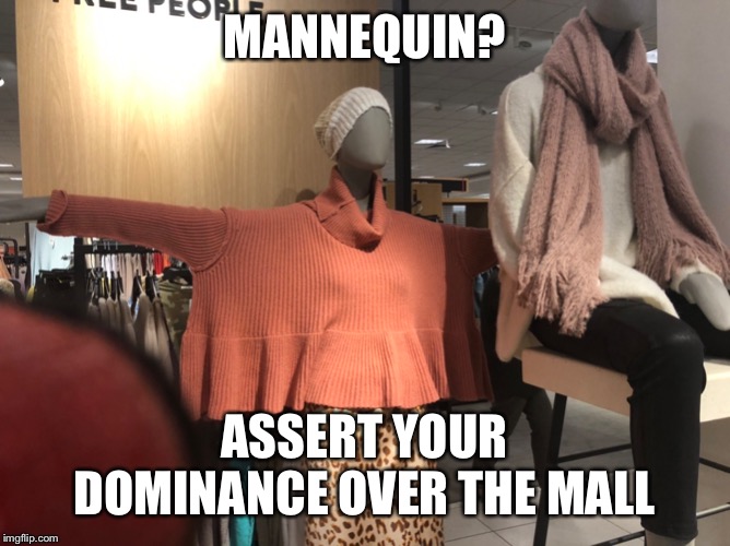 Dominance | MANNEQUIN? ASSERT YOUR DOMINANCE OVER THE MALL | image tagged in t-pose | made w/ Imgflip meme maker
