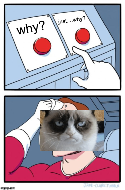 Two Buttons | just....why? why? | image tagged in memes,two buttons | made w/ Imgflip meme maker