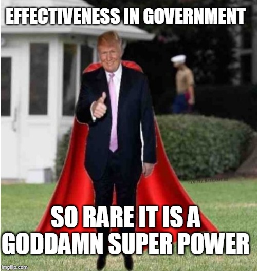 stuper trump | EFFECTIVENESS IN GOVERNMENT SO RARE IT IS AGO***MN SUPER POWER | image tagged in stuper trump | made w/ Imgflip meme maker