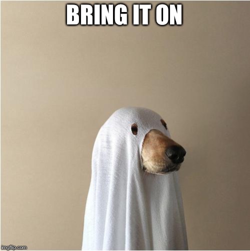 Ghost Doge | BRING IT ON | image tagged in ghost doge | made w/ Imgflip meme maker