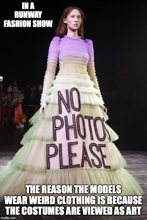 Self-Explanatory Dress | IN A RUNWAY FASHION SHOW; THE REASON THE MODELS WEAR WEIRD CLOTHING IS BECAUSE THE COSTUMES ARE VIEWED AS ART | image tagged in memes,runway fashion | made w/ Imgflip meme maker