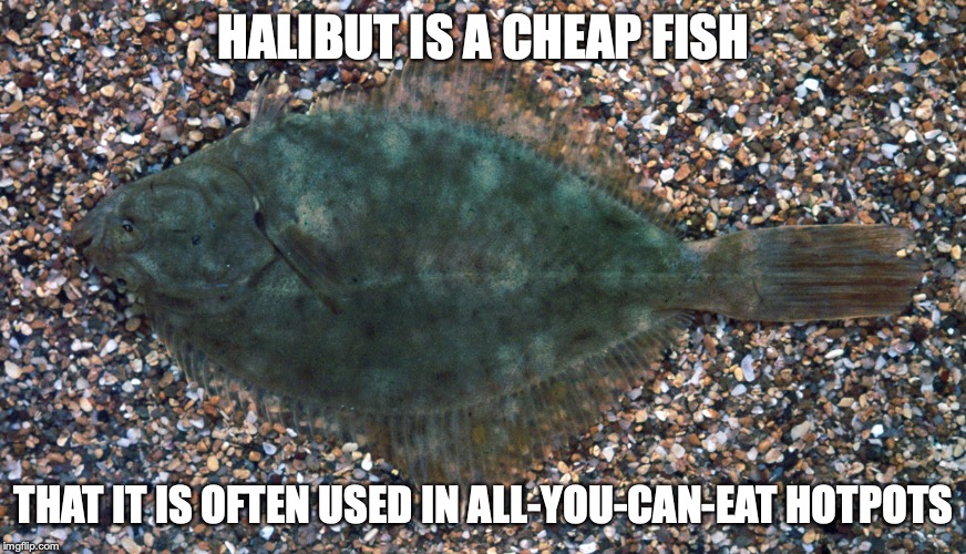 Halibut | HALIBUT IS A CHEAP FISH; THAT IT IS OFTEN USED IN ALL-YOU-CAN-EAT HOTPOTS | image tagged in halibut,flounder,fish,memes,food | made w/ Imgflip meme maker