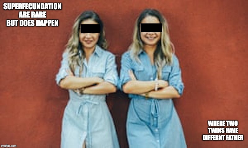 Superfecundation | SUPERFECUNDATION ARE RARE BUT DOES HAPPEN; WHERE TWO TWINS HAVE DIFFERNT FATHER | image tagged in superfecundation,twins,memes | made w/ Imgflip meme maker