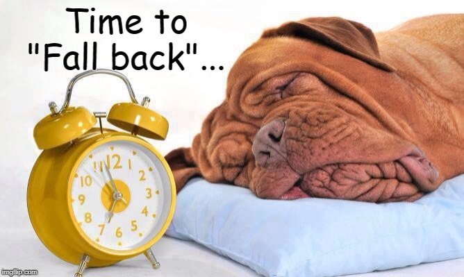 Fall Back Imgflip