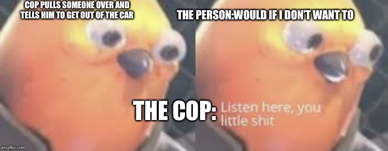 Listen here you little shit bird | COP PULLS SOMEONE OVER AND TELLS HIM TO GET OUT OF THE CAR; THE PERSON:WOULD IF I DON’T WANT TO; THE COP: | image tagged in listen here you little shit bird | made w/ Imgflip meme maker