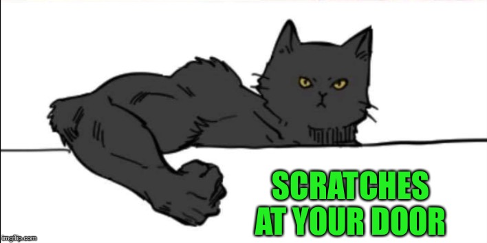 Buff cat | SCRATCHES AT YOUR DOOR | image tagged in buff cat | made w/ Imgflip meme maker