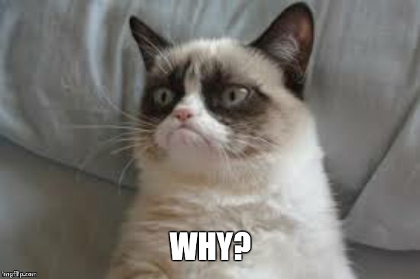 Grumpy cat | WHY? | image tagged in grumpy cat | made w/ Imgflip meme maker