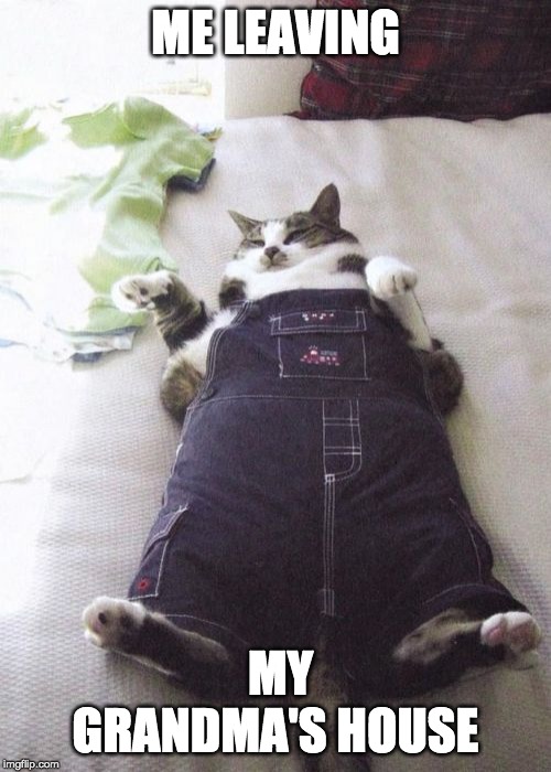 Fat Cat |  ME LEAVING; MY GRANDMA'S HOUSE | image tagged in memes,fat cat | made w/ Imgflip meme maker