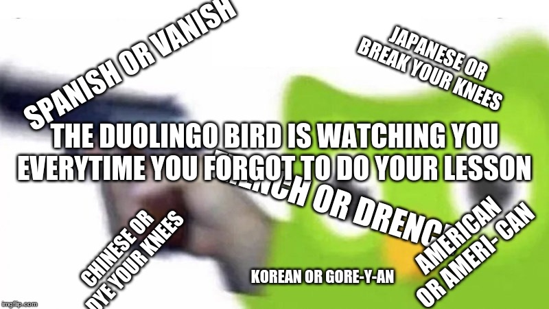 duolingo gun | JAPANESE OR BREAK YOUR KNEES; SPANISH OR VANISH; THE DUOLINGO BIRD IS WATCHING YOU EVERYTIME YOU FORGOT TO DO YOUR LESSON; FRENCH OR DRENCH; CHINESE OR  DYE YOUR KNEES; AMERICAN OR AMERI- CAN; KOREAN OR GORE-Y-AN | image tagged in duolingo gun | made w/ Imgflip meme maker