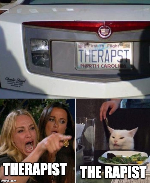 THE RAPIST; THERAPIST | image tagged in angry lady cat | made w/ Imgflip meme maker