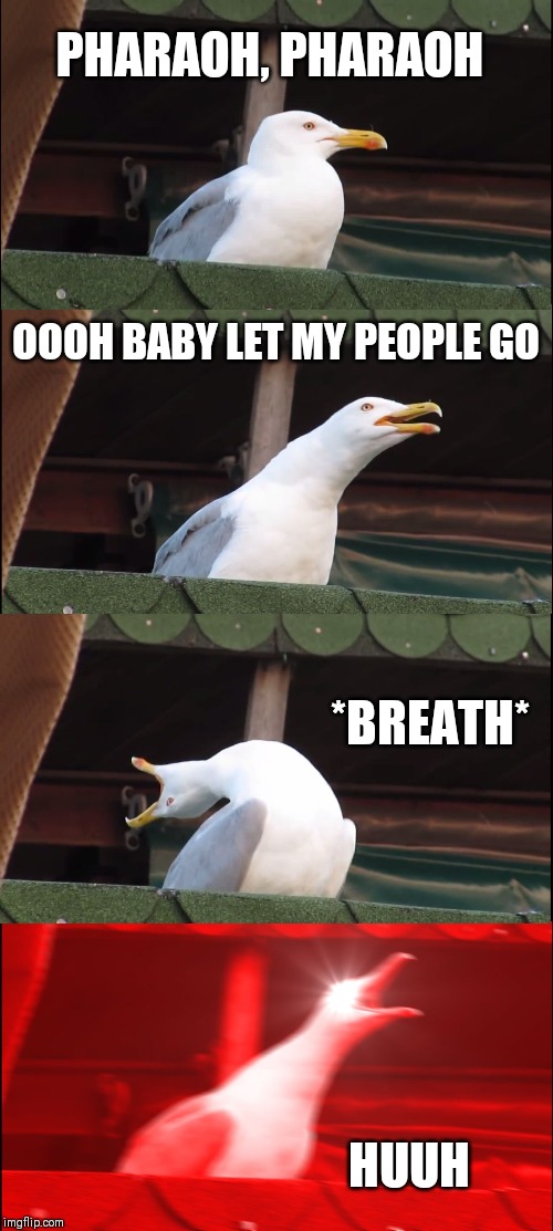 Inhaling Seagull Meme | PHARAOH, PHARAOH; OOOH BABY LET MY PEOPLE GO; *BREATH*; HUUH | image tagged in memes,inhaling seagull | made w/ Imgflip meme maker