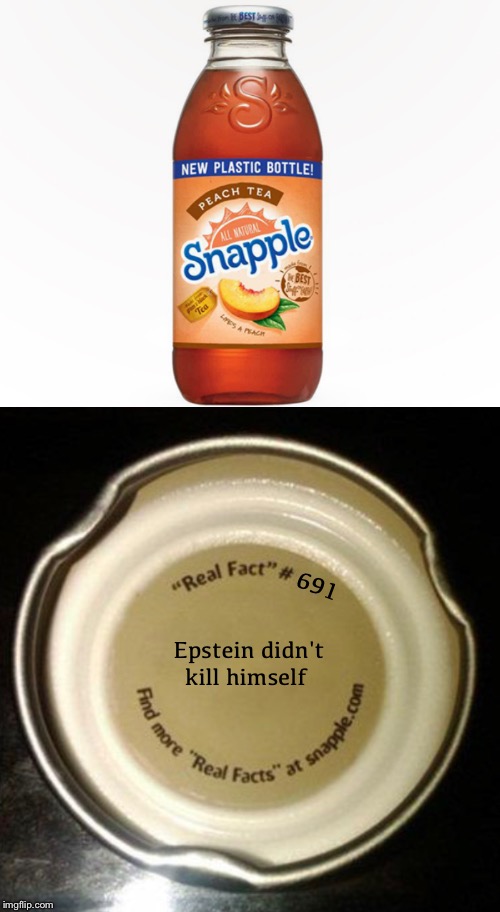 Snapple trivia | 691; Epstein didn't kill himself | image tagged in jeffrey epstein,memes,snapple,real facts | made w/ Imgflip meme maker