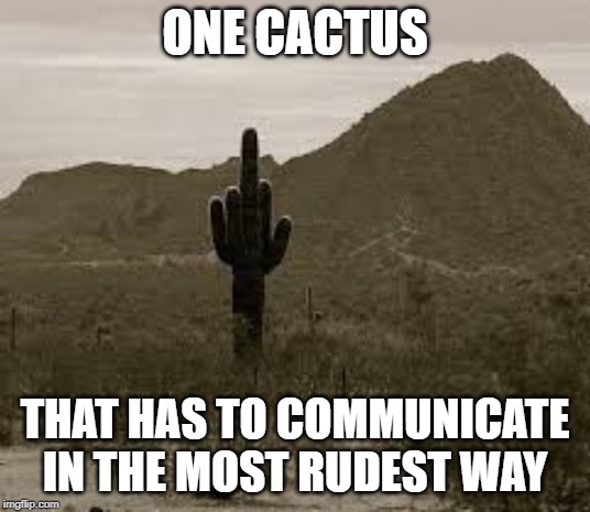 rude finger | ONE CACTUS; THAT HAS TO COMMUNICATE IN THE MOST RUDEST WAY | image tagged in rude finger | made w/ Imgflip meme maker