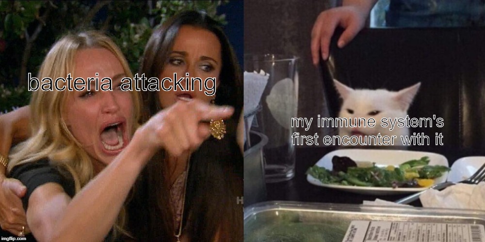 Woman yelling at cat | bacteria attacking; my immune system's first encounter with it | image tagged in woman yelling at cat | made w/ Imgflip meme maker
