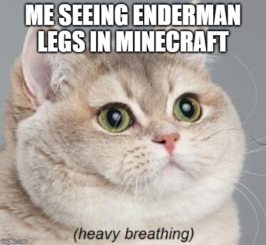 Heavy Breathing Cat Meme | ME SEEING ENDERMAN LEGS IN MINECRAFT | image tagged in memes,heavy breathing cat | made w/ Imgflip meme maker