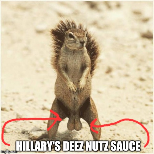 DEEZ NUTS | HILLARY'S DEEZ NUTZ SAUCE | image tagged in deez nuts | made w/ Imgflip meme maker