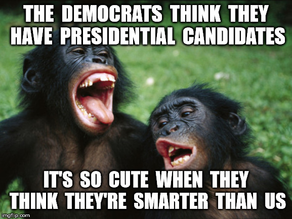 Bonobo Lyfe | THE  DEMOCRATS  THINK  THEY  HAVE  PRESIDENTIAL  CANDIDATES; IT'S  SO  CUTE  WHEN  THEY  THINK  THEY'RE  SMARTER  THAN  US | image tagged in memes,bonobo lyfe | made w/ Imgflip meme maker