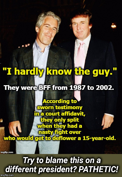 Epstein's partner in the orgies was...Trump Blank Meme Template