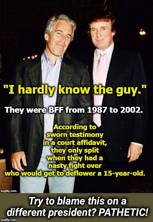 Epstein's partner in the orgies was...Trump | . | image tagged in epstein's partner in the orgies wastrump | made w/ Imgflip meme maker