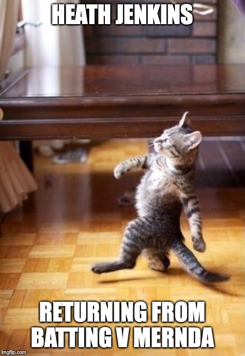 Cool Cat Stroll | HEATH JENKINS; RETURNING FROM BATTING V MERNDA | image tagged in memes,cool cat stroll | made w/ Imgflip meme maker