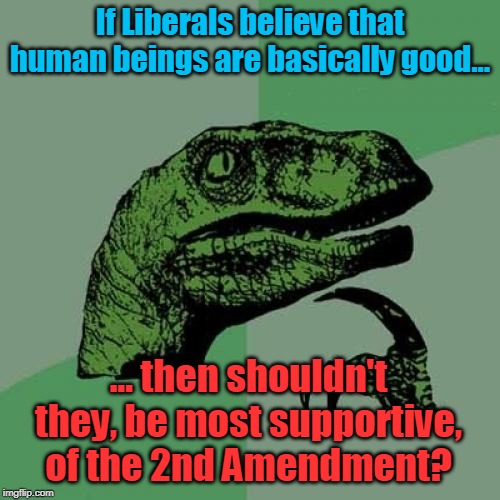 Philosoraptor | If Liberals believe that human beings are basically good... ... then shouldn't they, be most supportive, of the 2nd Amendment? | image tagged in memes,philosoraptor,2nd amendment,gun rights,gun control,firearms | made w/ Imgflip meme maker