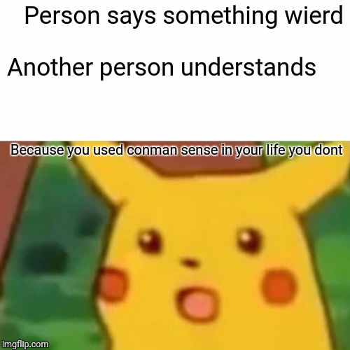 Surprised Pikachu | Person says something wierd; Another person understands; Because you used conman sense in your life you dont | image tagged in memes,surprised pikachu | made w/ Imgflip meme maker