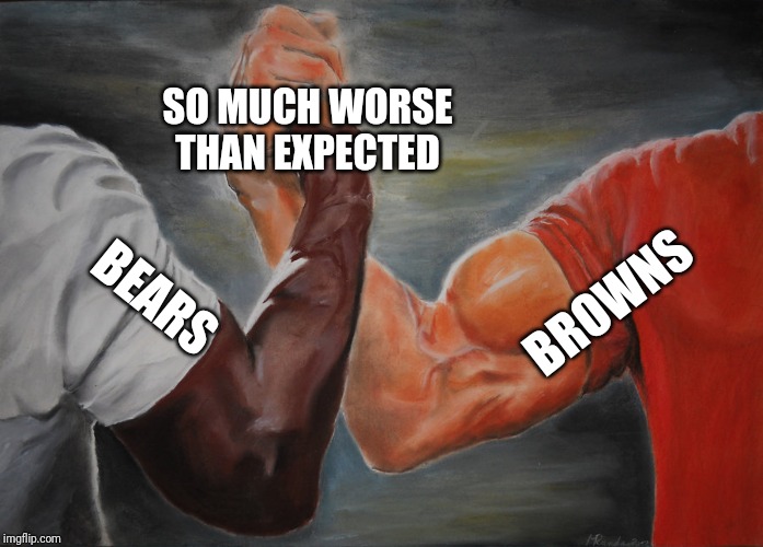 Epic Handshake Meme | SO MUCH WORSE THAN EXPECTED; BROWNS; BEARS | image tagged in epic handshake,nflmemes | made w/ Imgflip meme maker