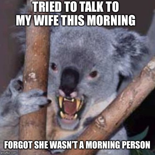 Grumpy Wife | TRIED TO TALK TO MY WIFE THIS MORNING; FORGOT SHE WASN’T A MORNING PERSON | image tagged in wife,married,grumpy,a mythical tag | made w/ Imgflip meme maker