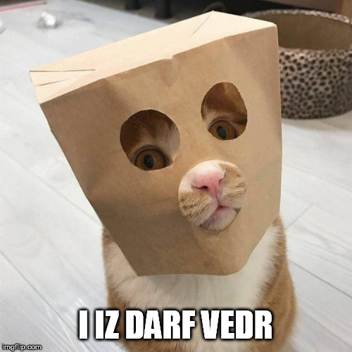 I IZ DARF VEDR | made w/ Imgflip meme maker