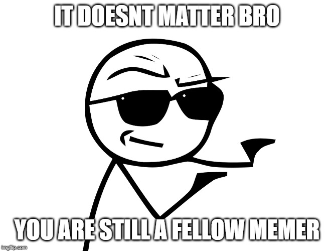 i got you bro | IT DOESNT MATTER BRO YOU ARE STILL A FELLOW MEMER | image tagged in i got you bro | made w/ Imgflip meme maker
